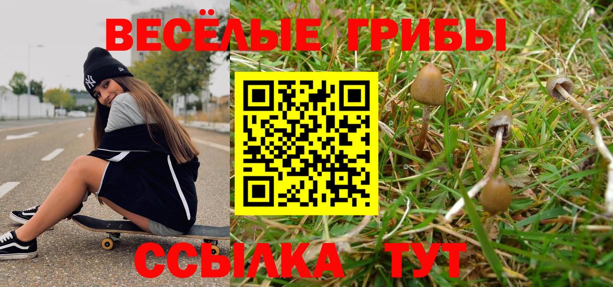 Псилоцибиновые грибы мухоморы Протвино